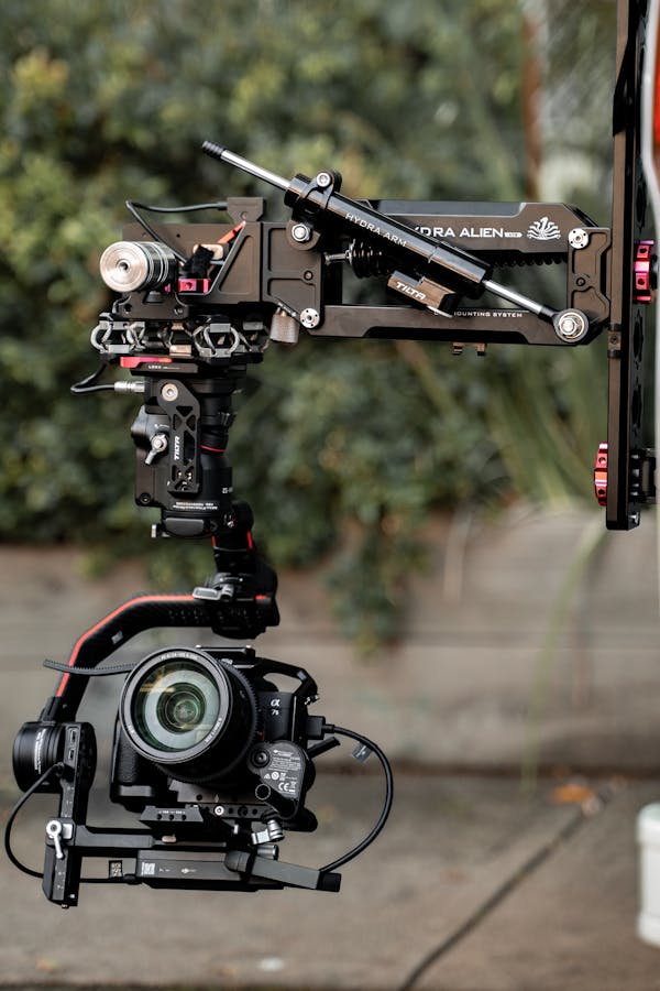 pexels-photo-10290168